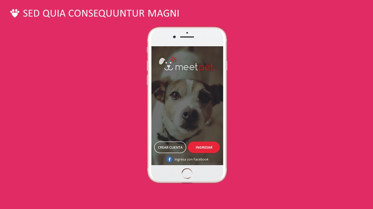 Pitch IoT Challenge Meetpet - Marketing con Contenido