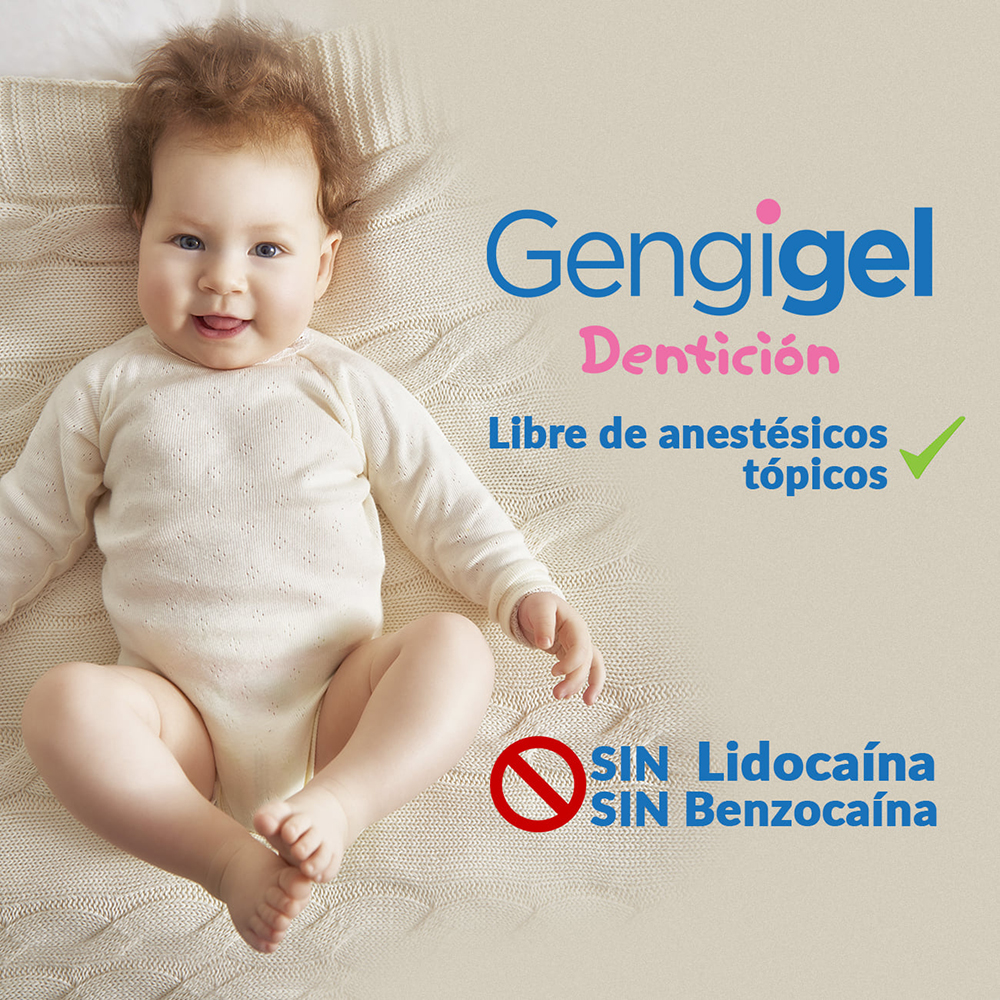 gengigel denticion