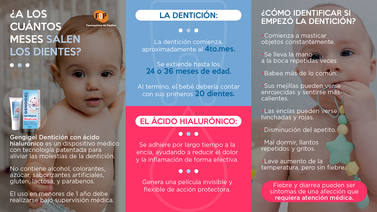 a los cuantos meses salen los dientes infografia