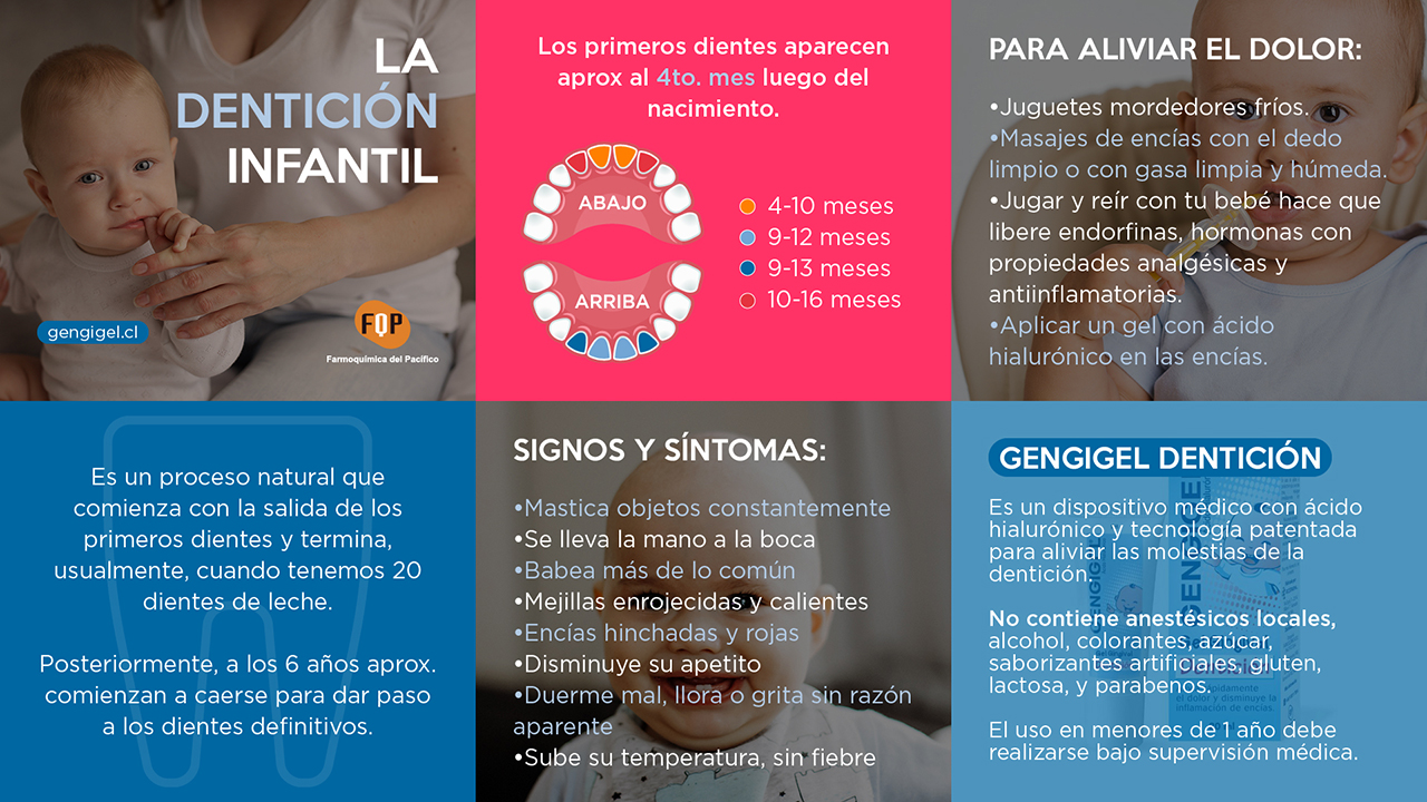 denticion infantil infografia