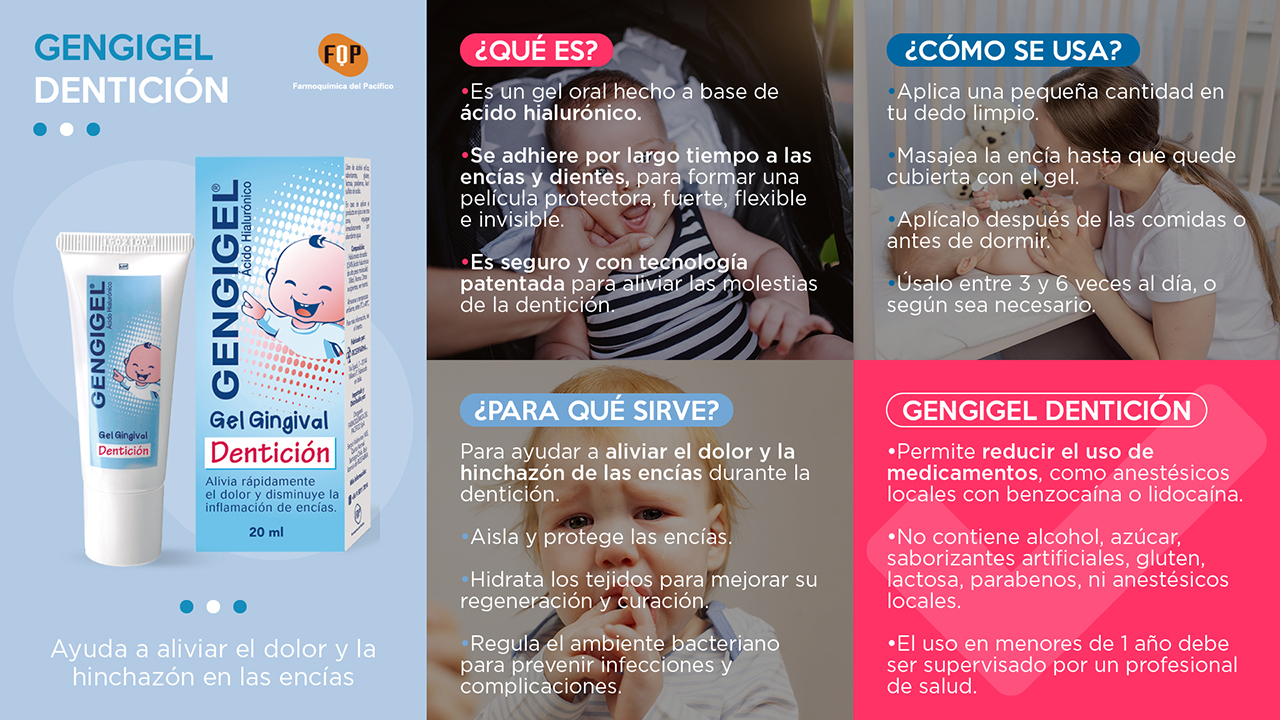 gengigel dentición infografia