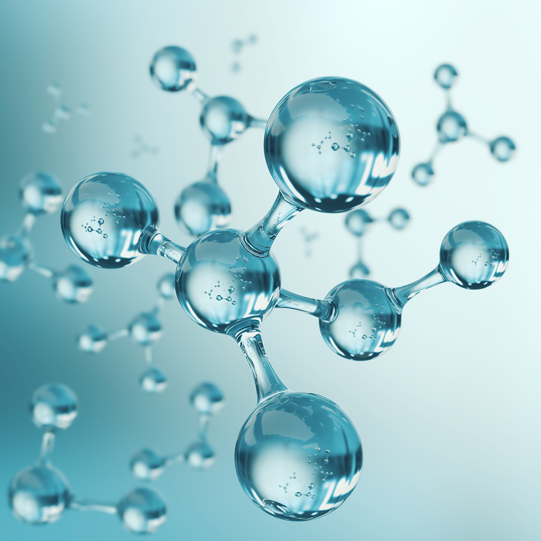 moléculas proteina morfogenética ósea wnt usag-1