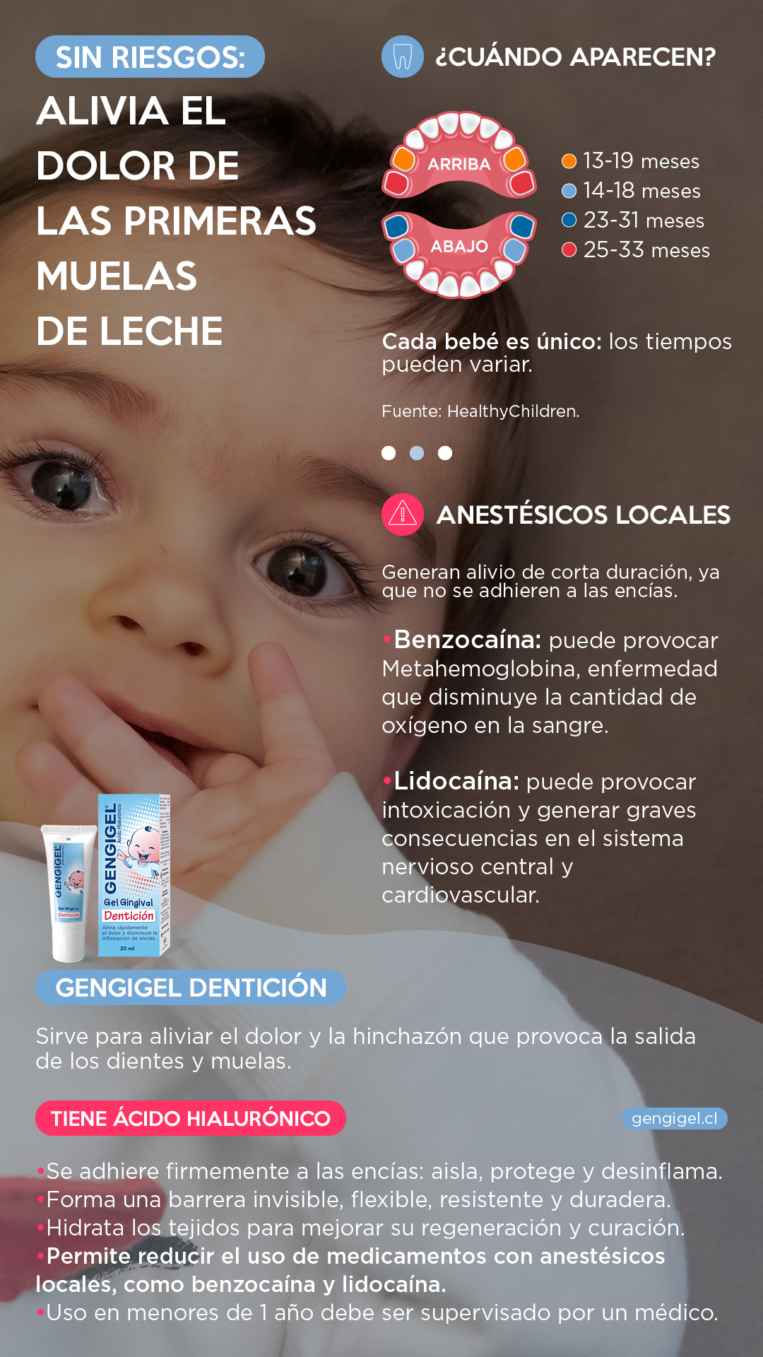 muelas de leche infografia