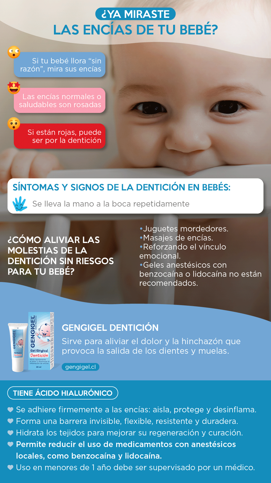 encías normales resumen