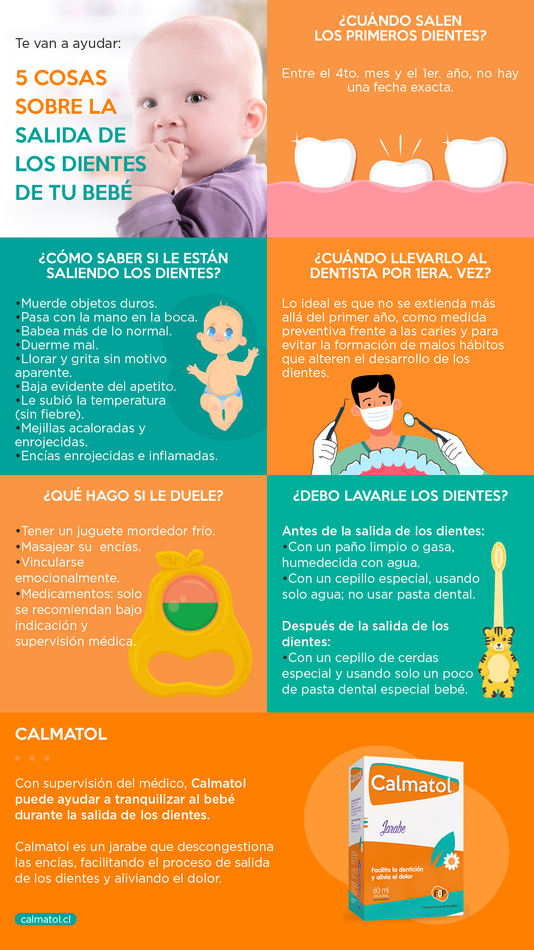 salida dientes bebé resumen