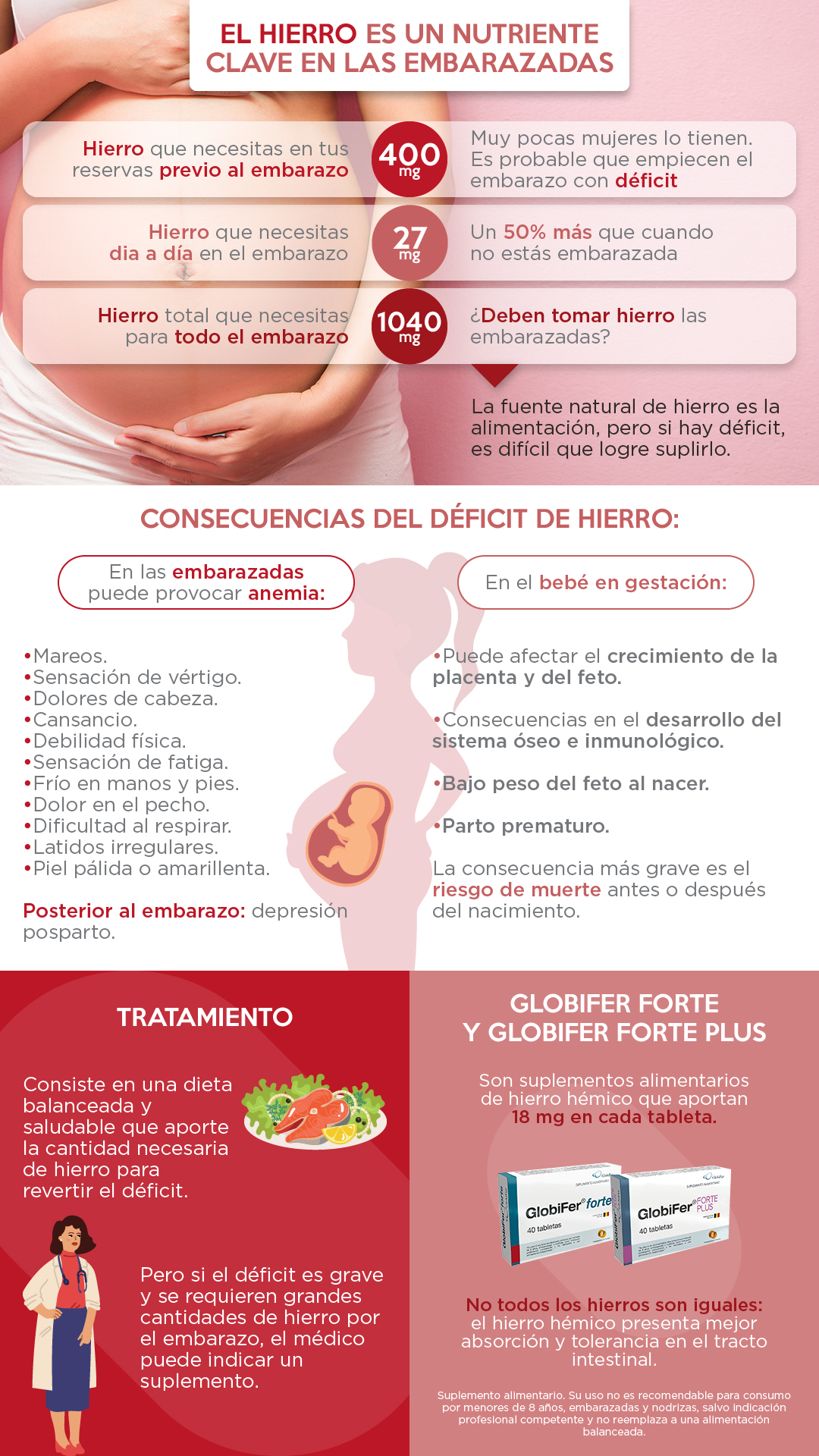 hierro en las embarazadas resumen