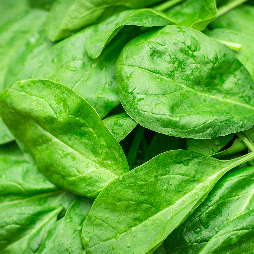 ácido fólico