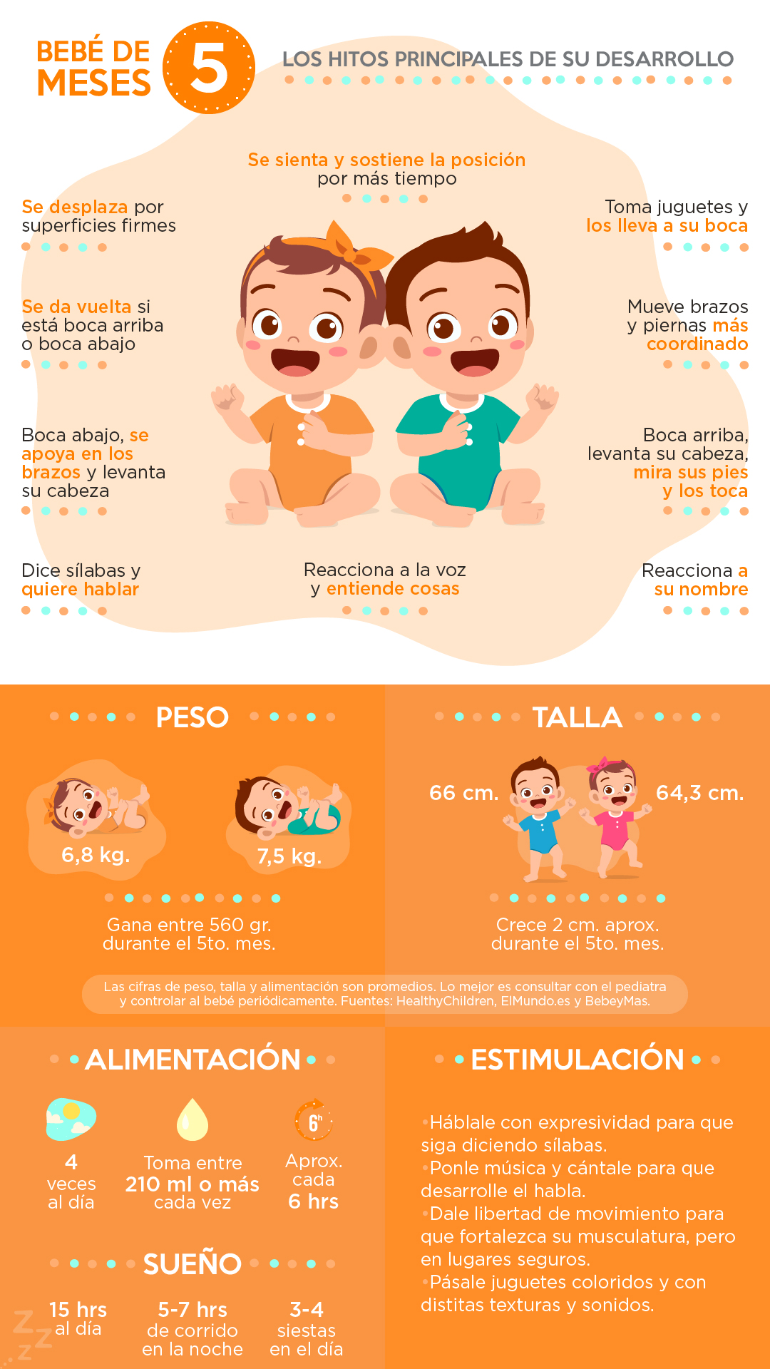 bebé de 5 meses resumen
