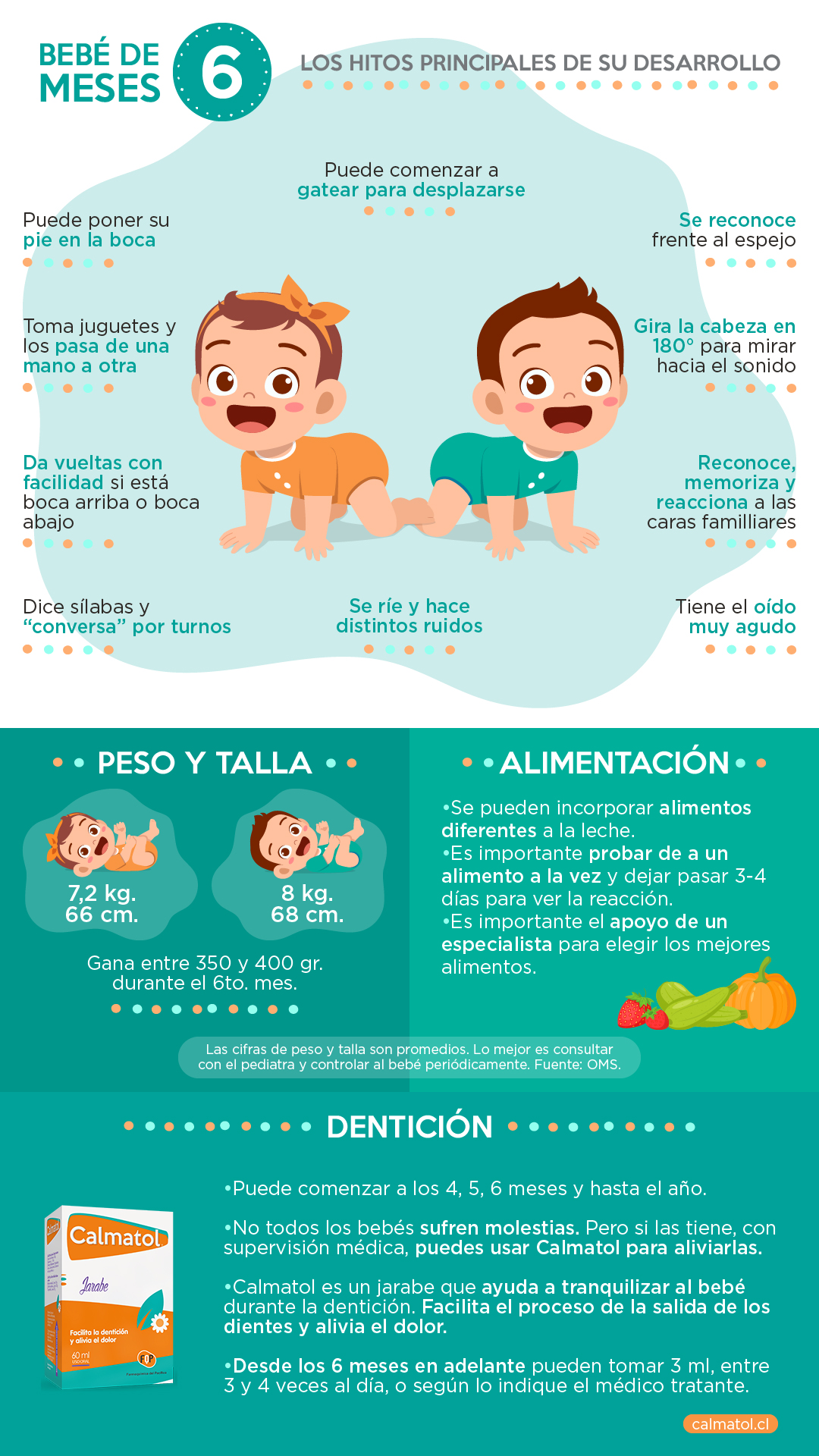 bebé de 6 meses resumen