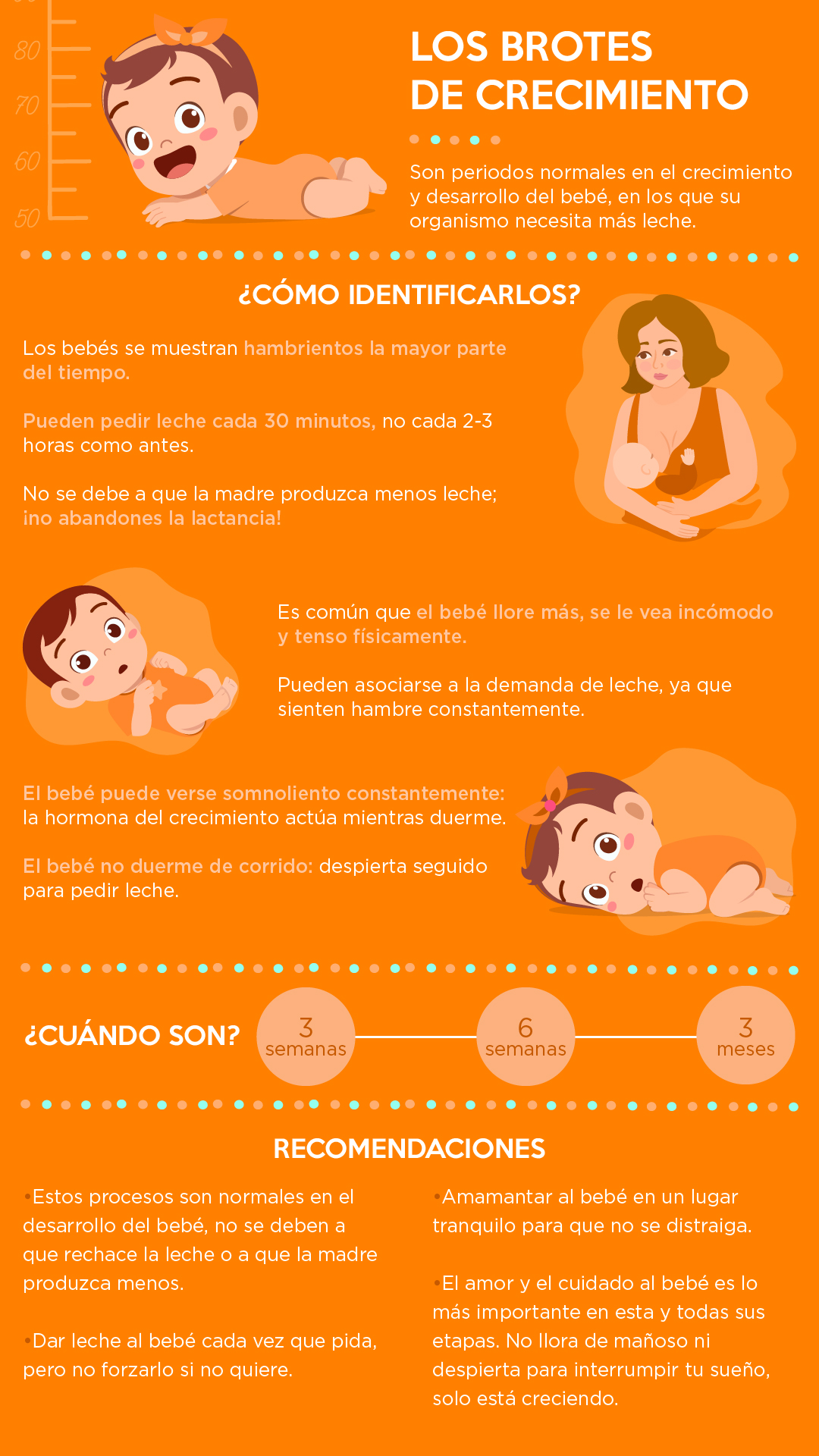 brotes de crecimiento resumen