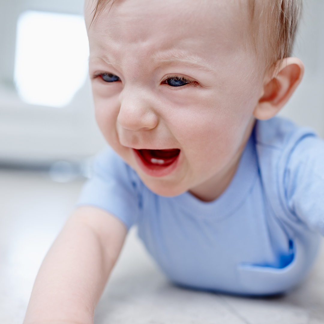 pérdida de apetito por los dientes síntomas signos dentición