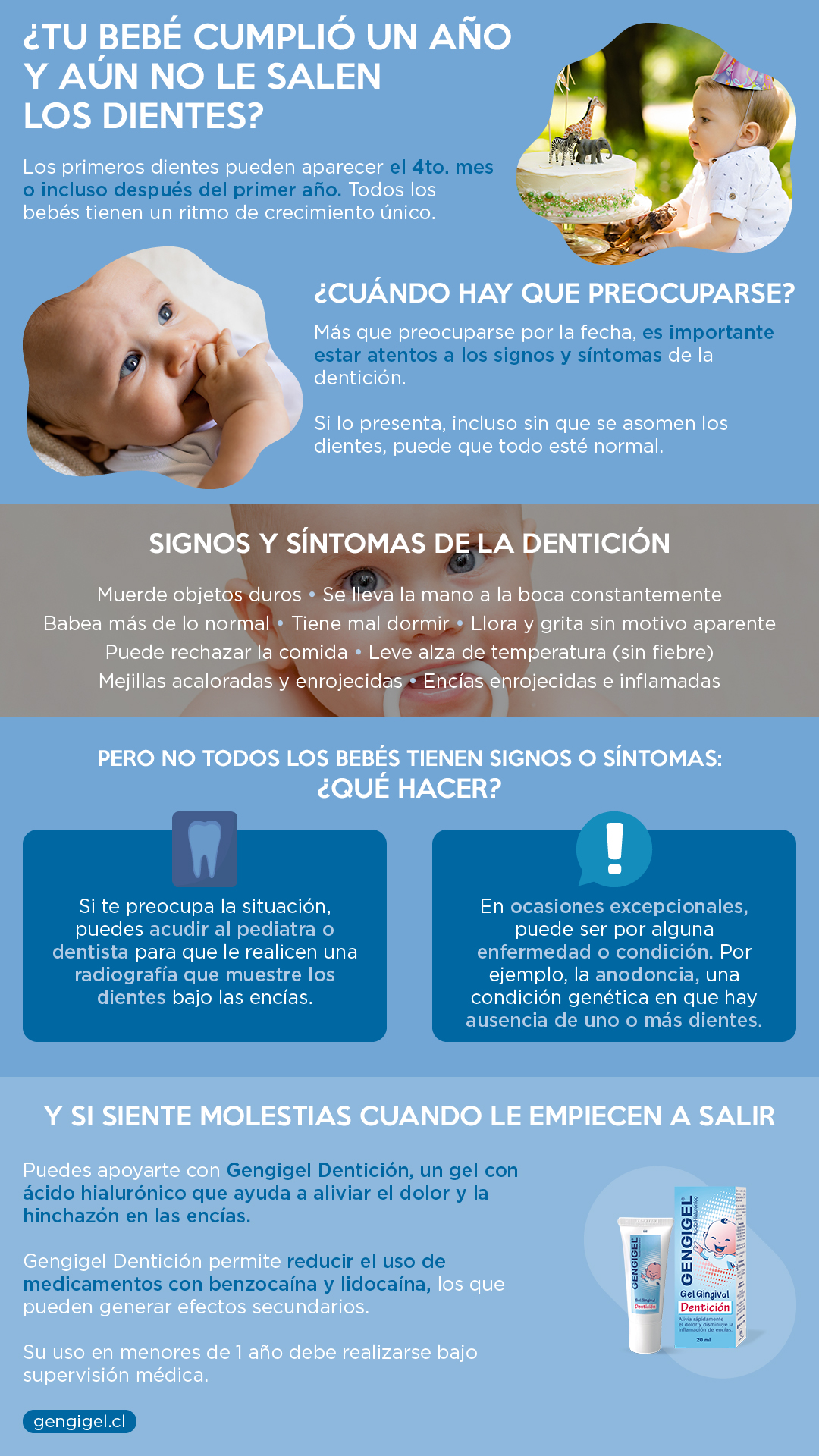 bebé un año sin dientes resumen
