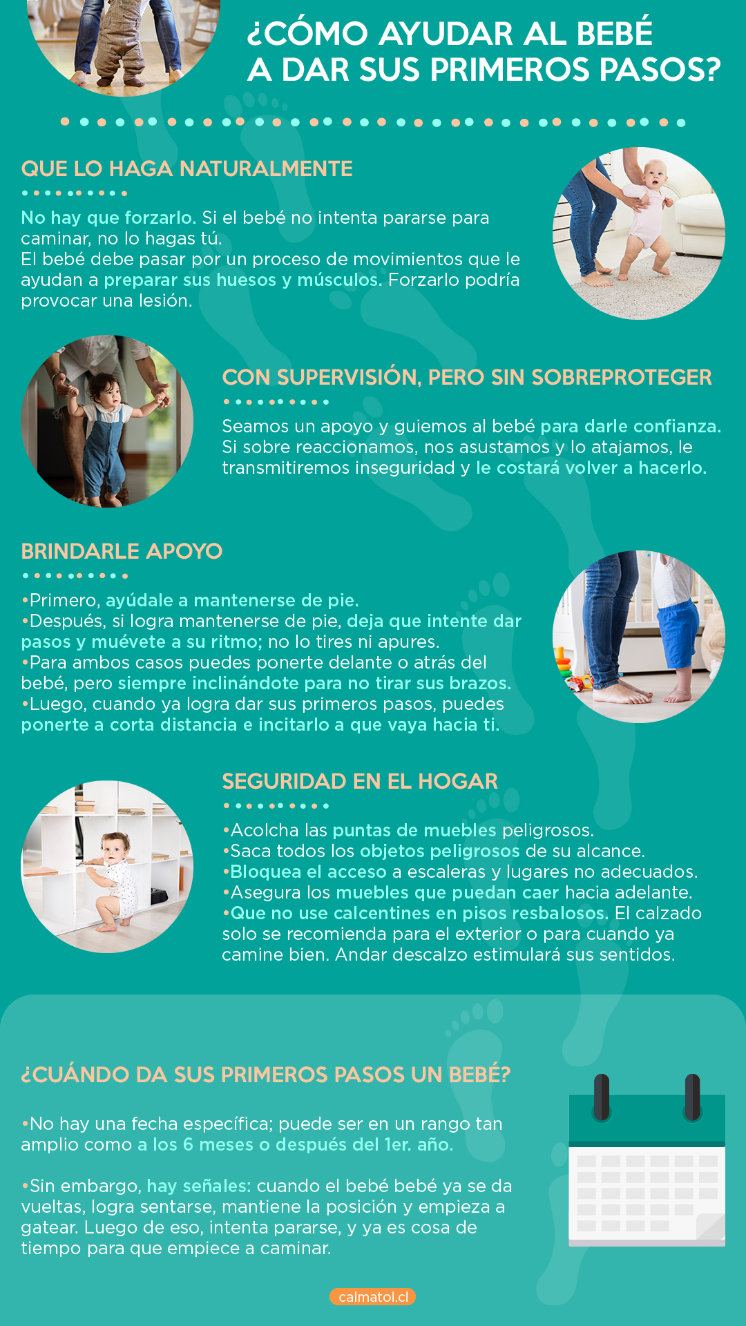 primeros pasos bebé resumen