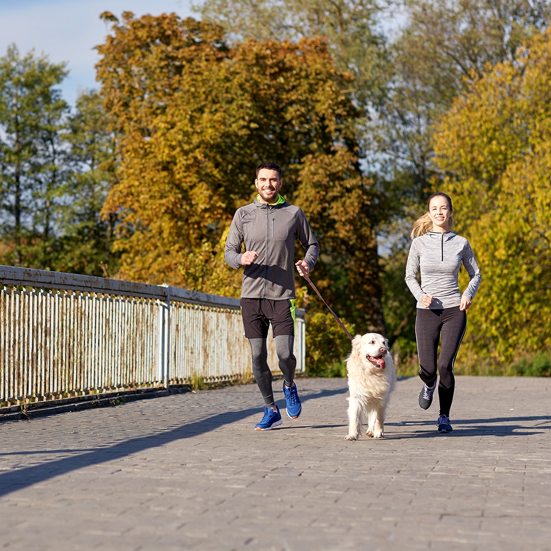 consejos para empezar a entrenar solo o companía