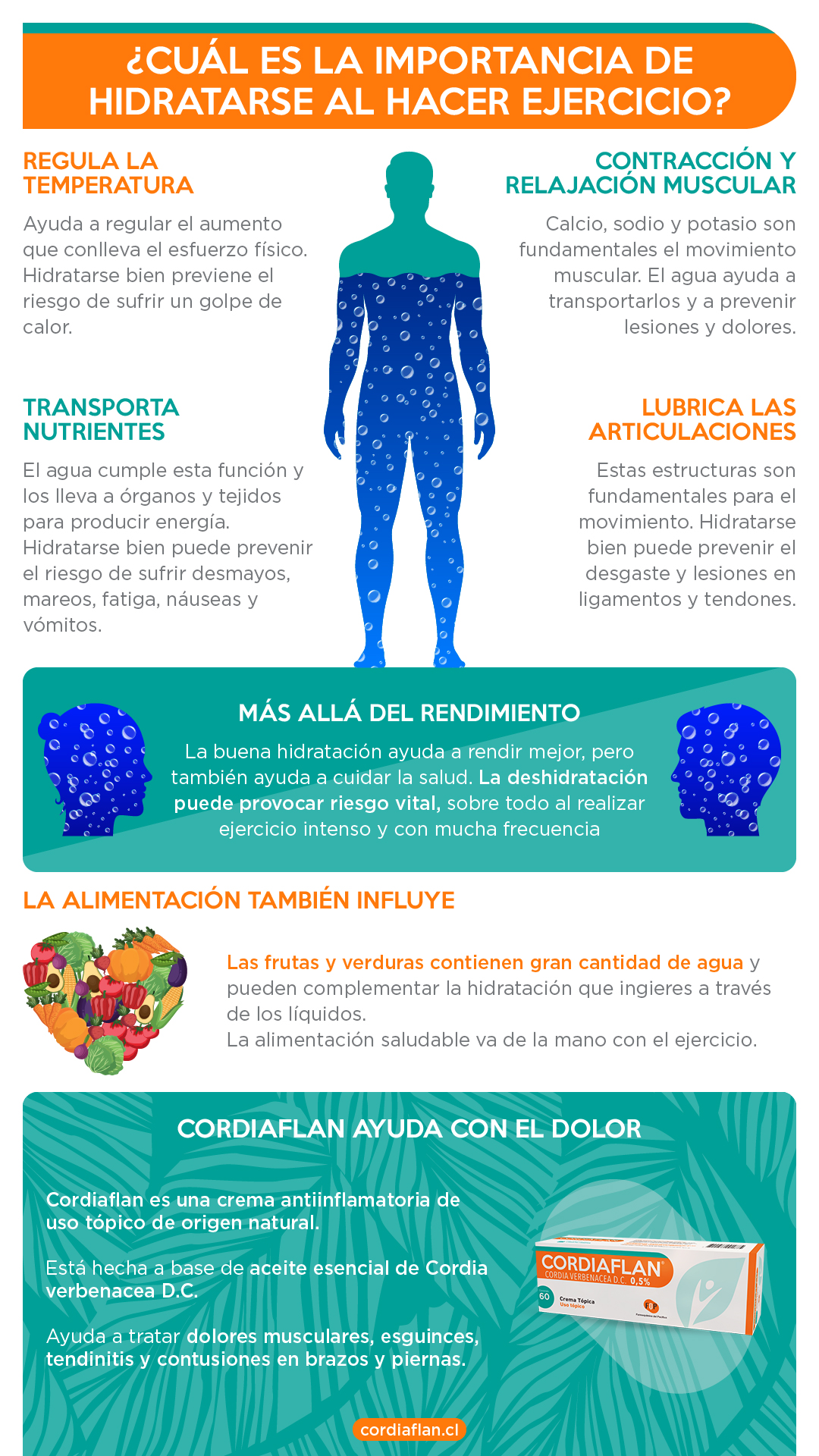 importancia de hidratarse al hacer ejercicio resumen