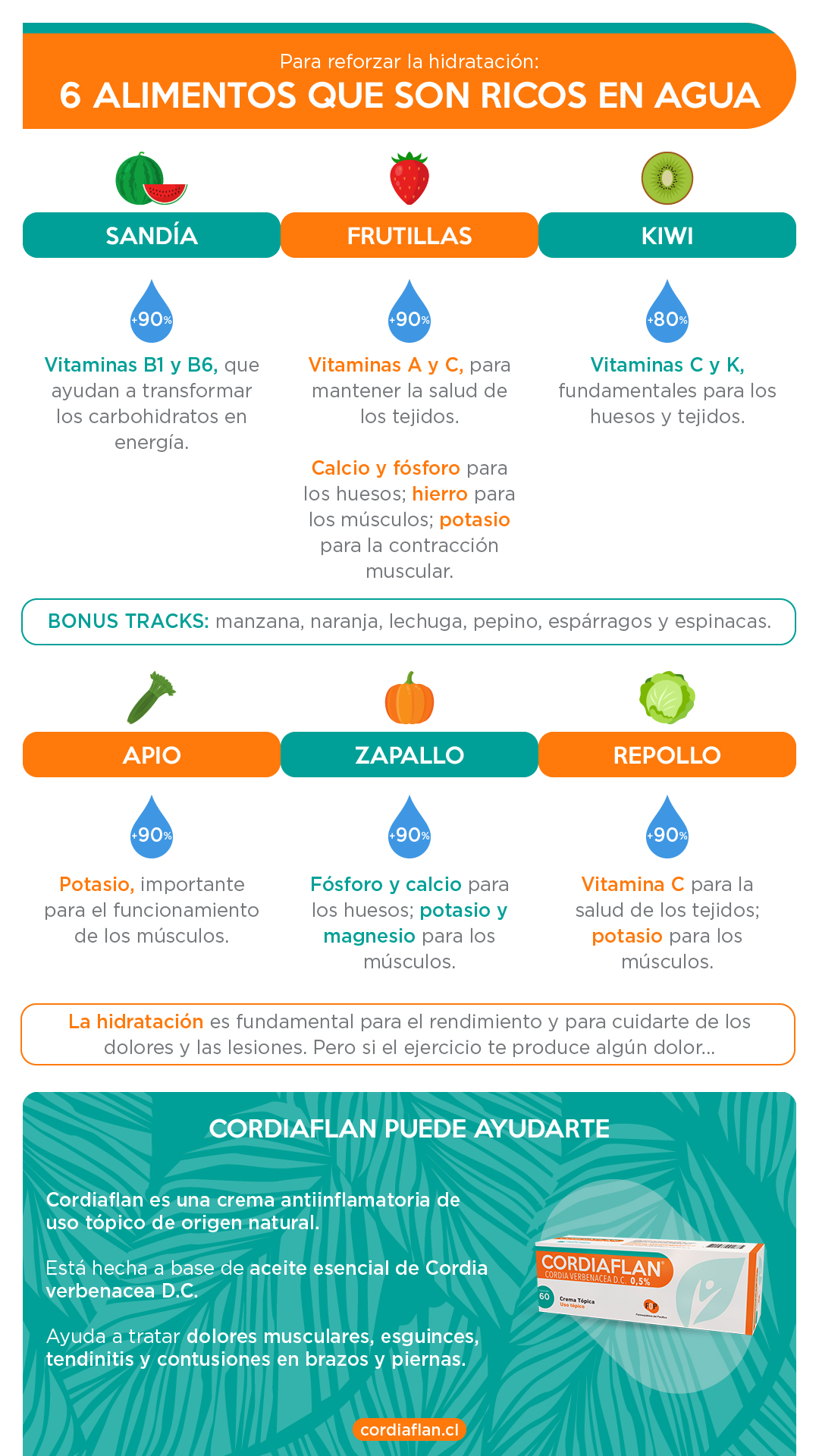 qué alimentos son ricos en agua resumen