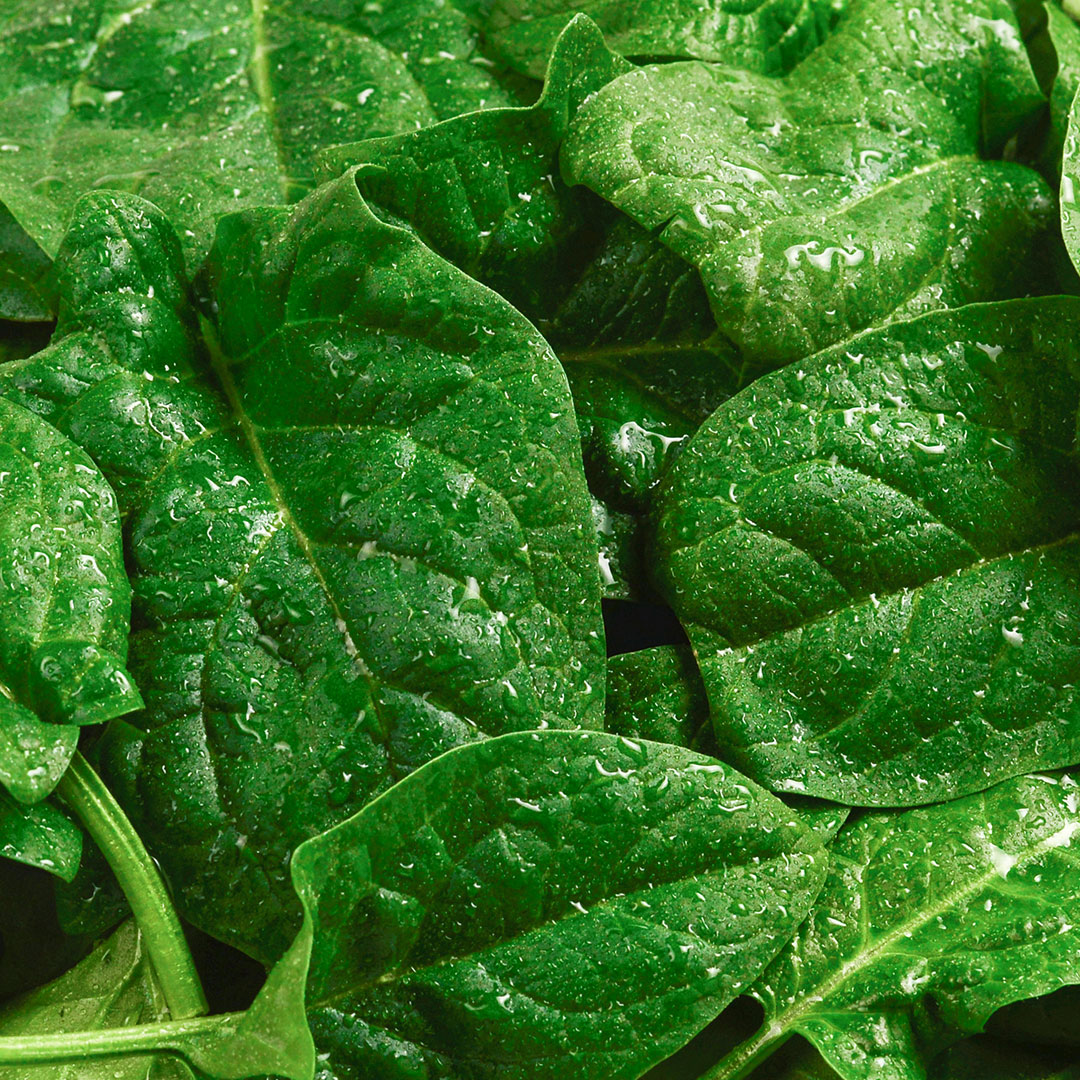 alimentos ricos en hierro no hem no hemo no hemínico