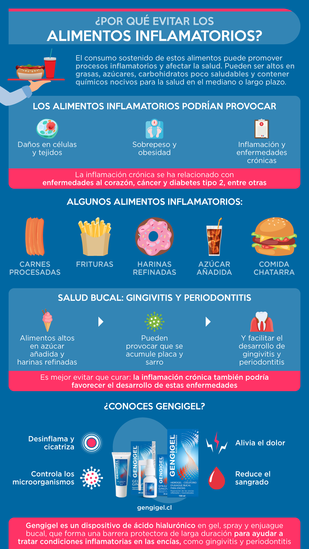 alimentos inflamatorios a evitar resumen