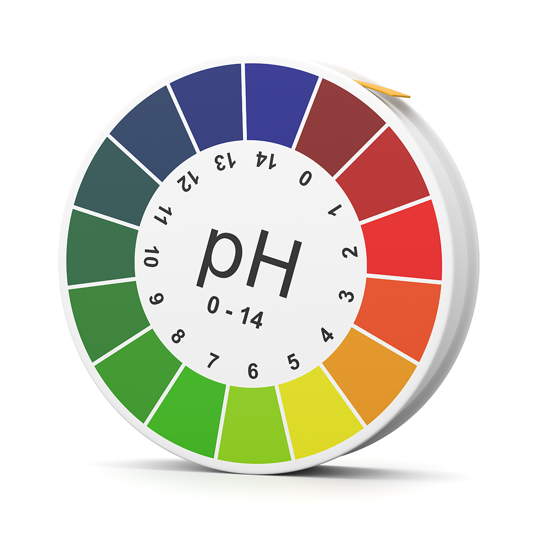 ph intestinal