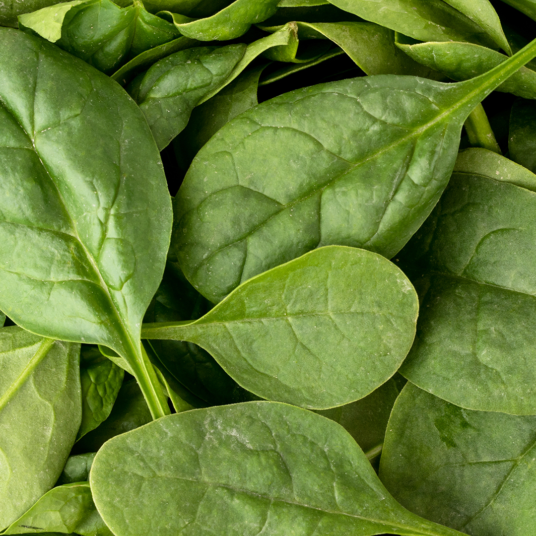 hierro origen vegetal