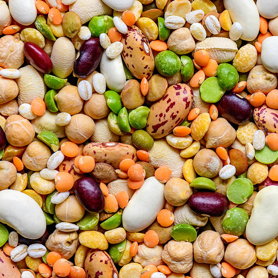 alimentos con hierro legumbres