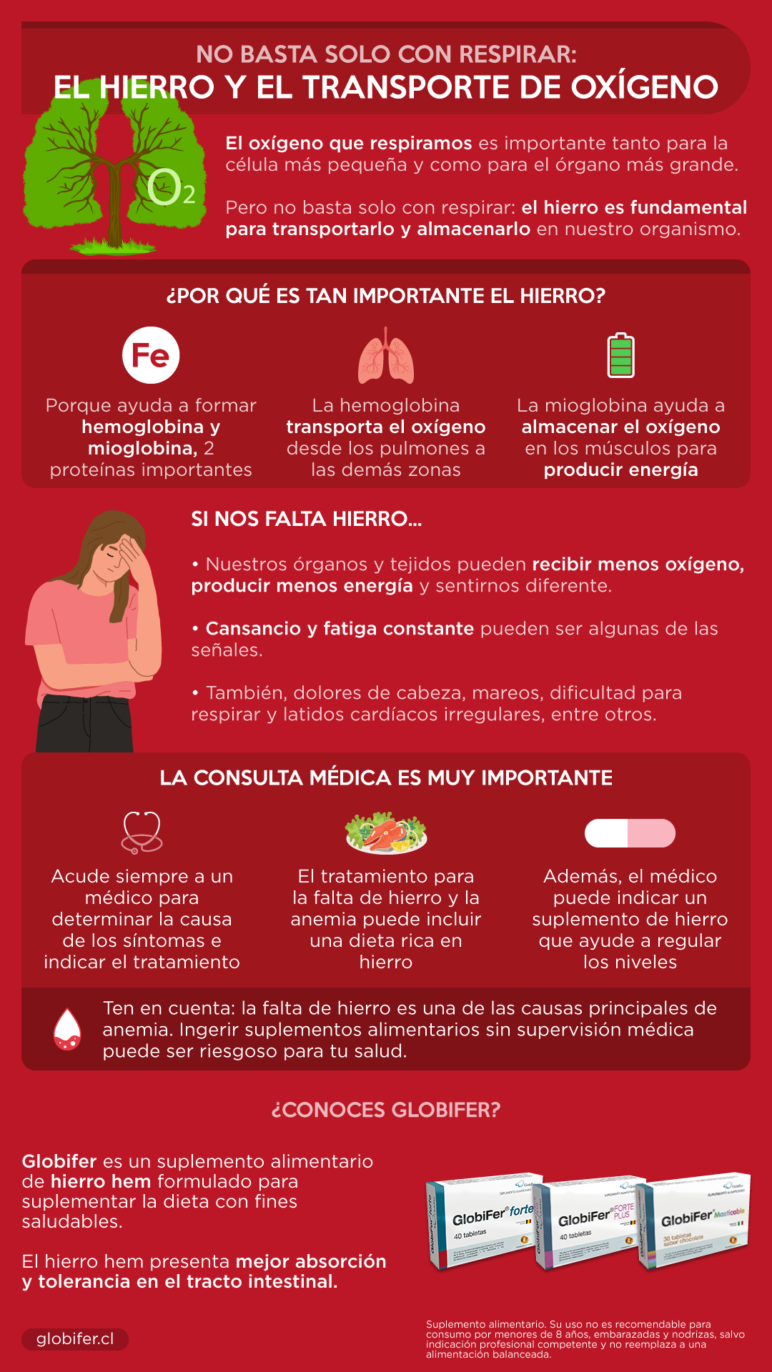 hierro y oxígeno resumen
