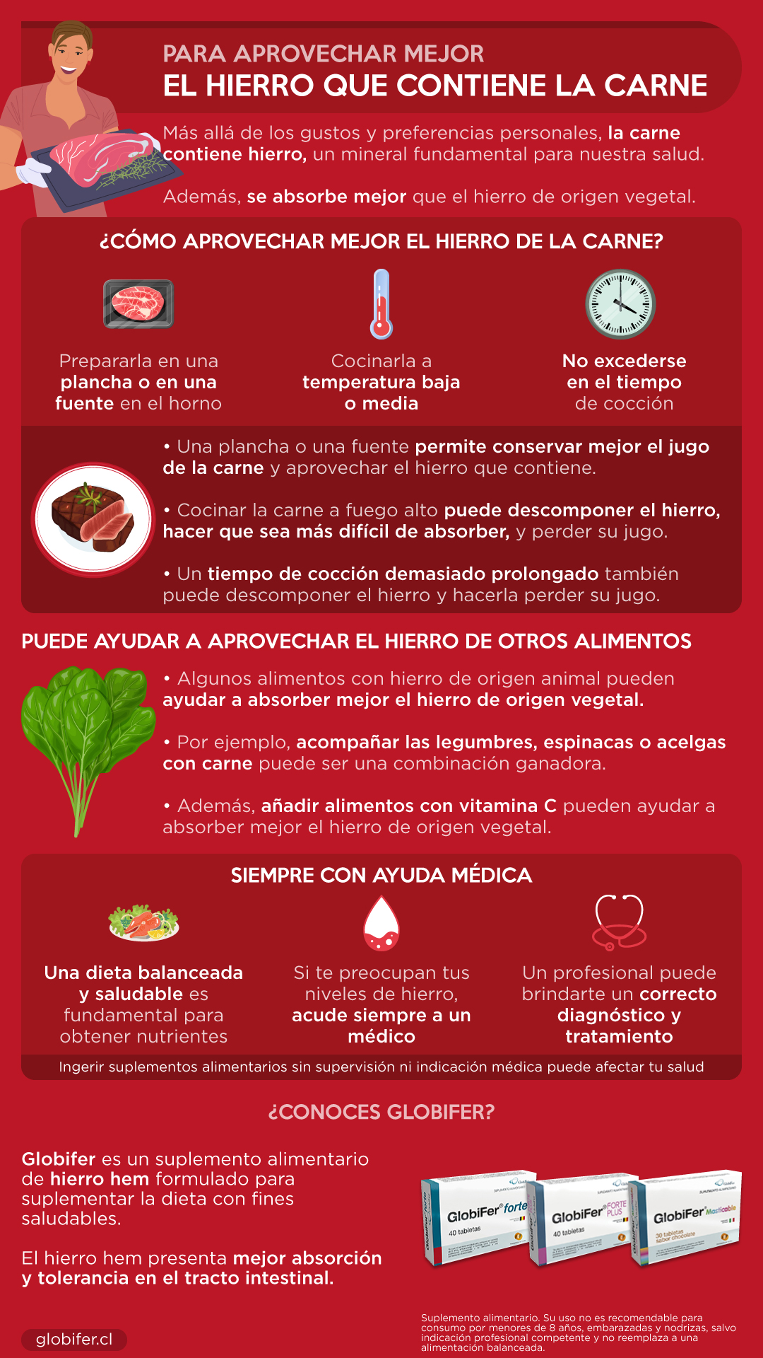 la carne contiene hierro resumen