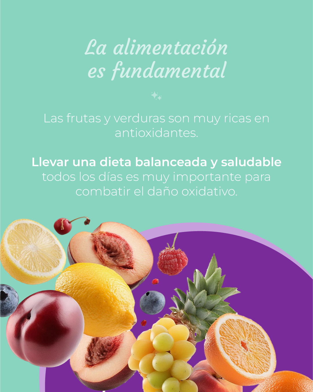 antioxidantes suplemento sambucol vital elements 05