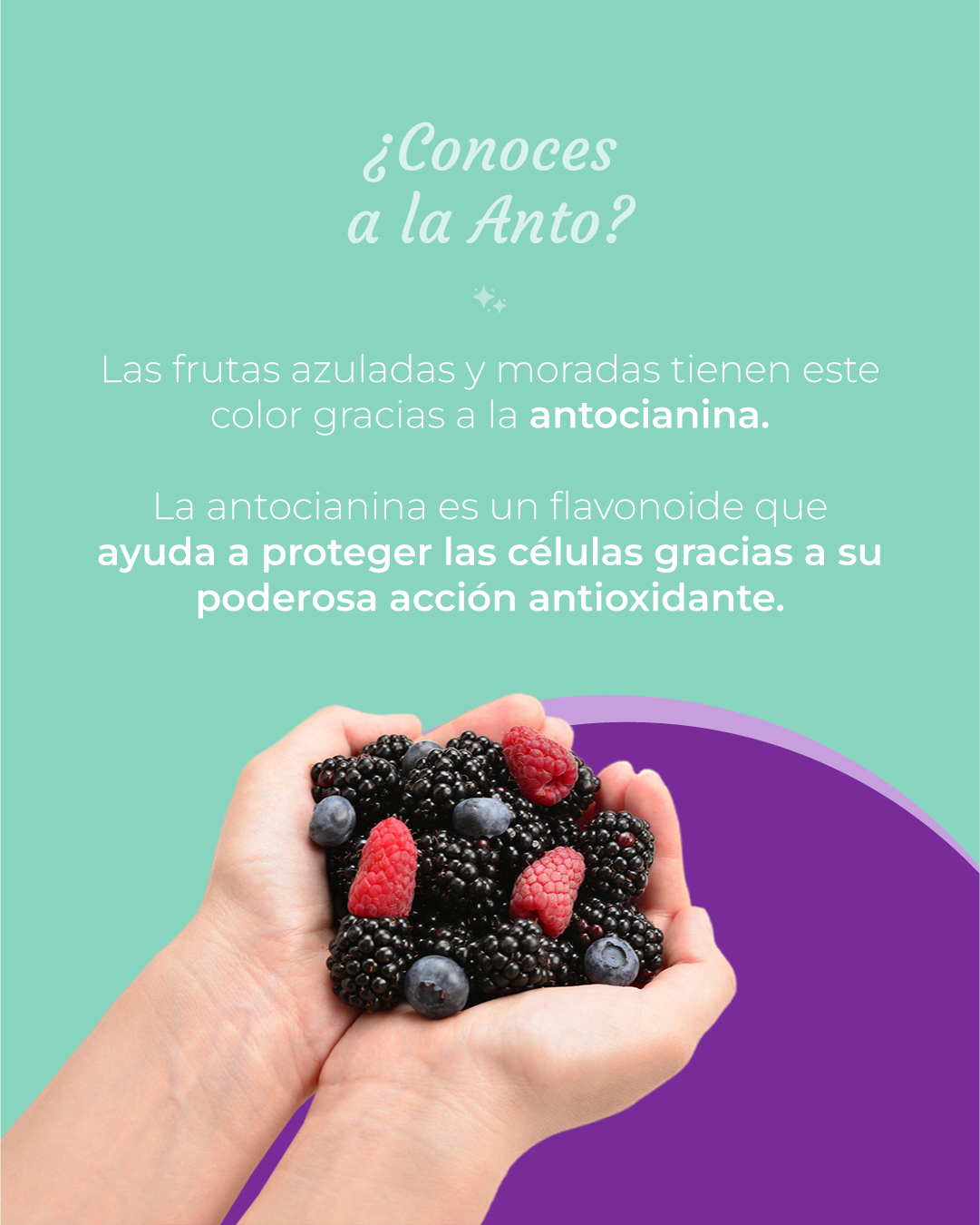 antioxidantes suplemento sambucol vital elements 05