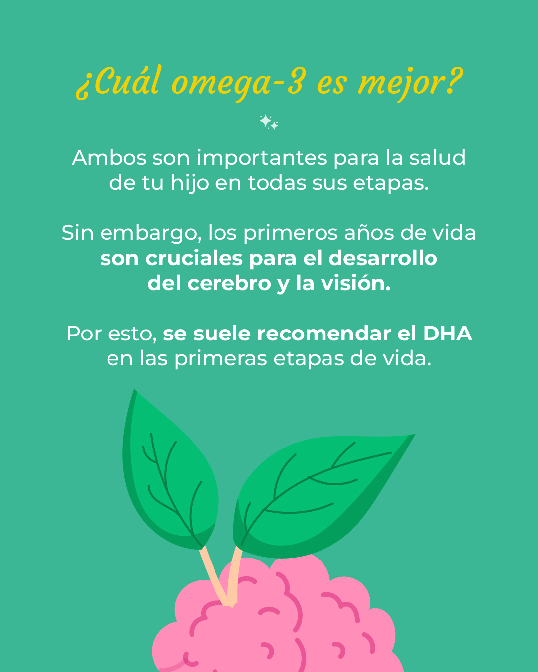 omega 3 dha para qué sirve 05