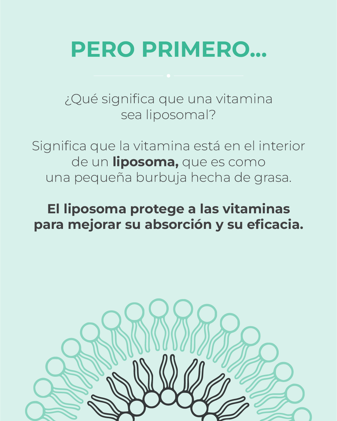 liposomal qué significa 02