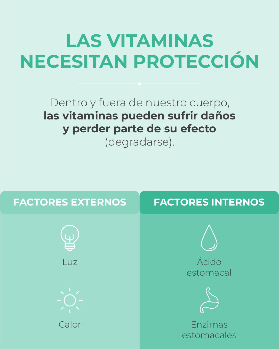 liposomal qué significa 03